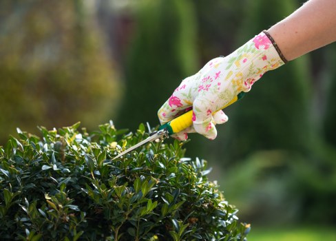 Team of gardeners arriving at a Wallington garden with equipment
