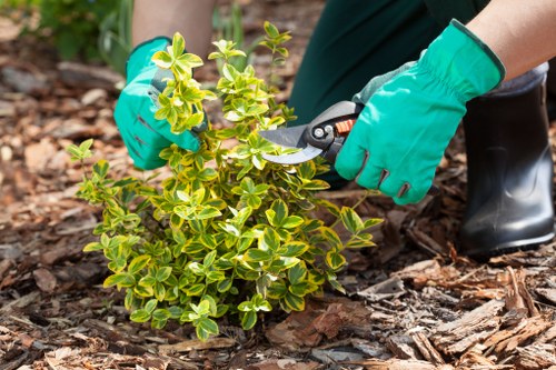 Gardener applying finishing touches, representing insured gardening services