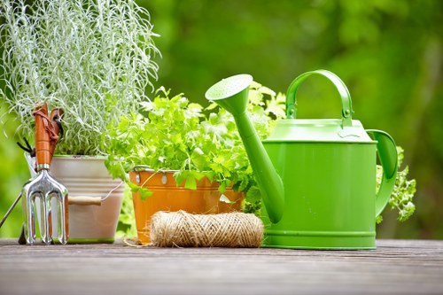 Deck maintenance and repair services in Wallington