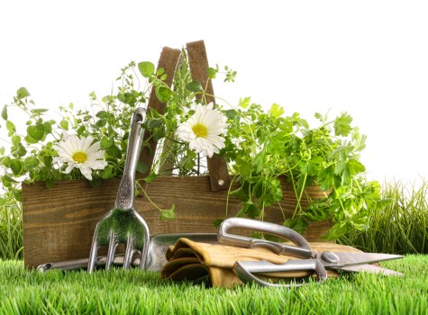 Records and training to improve gardening services